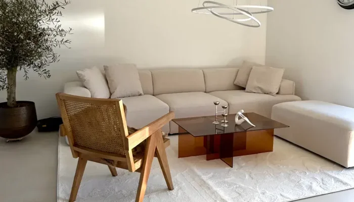 modernes-wohnzimmer-sahin-immobilien